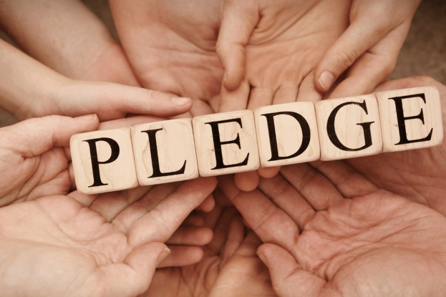Cross My Heart and Hope to Try: The Behaviour Science of Pledges